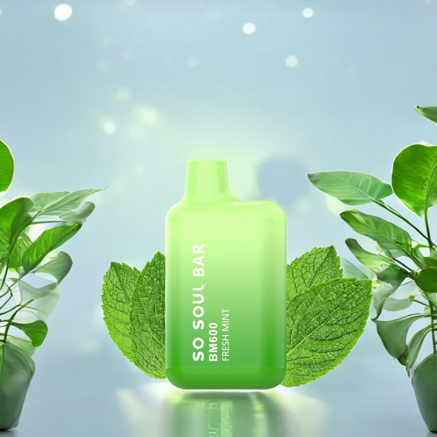 So Soul Fresh Mint ΒΜ600